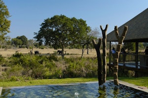 One&Only Cape Town with Sabi Sabi Bush Lodge Safari image 1