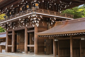 Luxury Japan in Style image 2