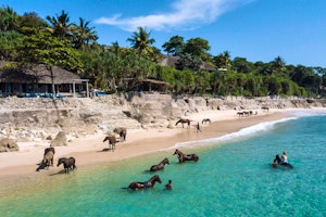 NIHI Sumba image 1