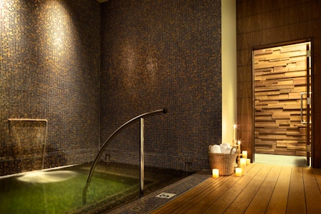 Plunge Pool, Viceroy Snowmass
