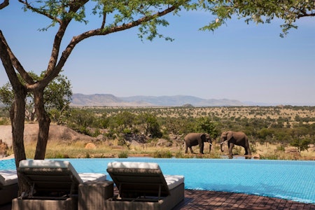 Four Seasons Serengeti, Serengeti National Park, Tanzania