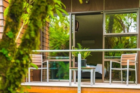 Te Waonui Forest Retreat image 3
