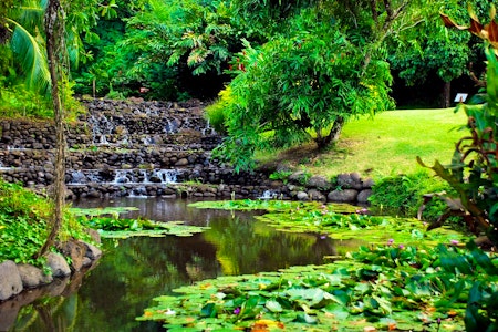 South Pacific Island-Hopping image 3